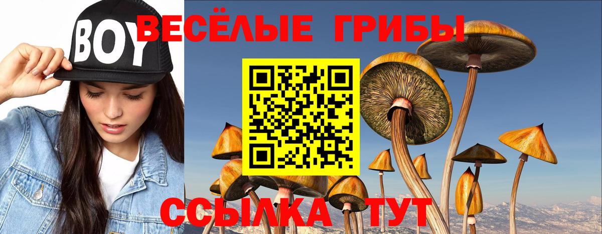 Рузаевка  Галлюциногенные грибы Magic Shrooms  Псилоцибиновые грибы MAGIC MUSHROOMS  Вход с VPN 