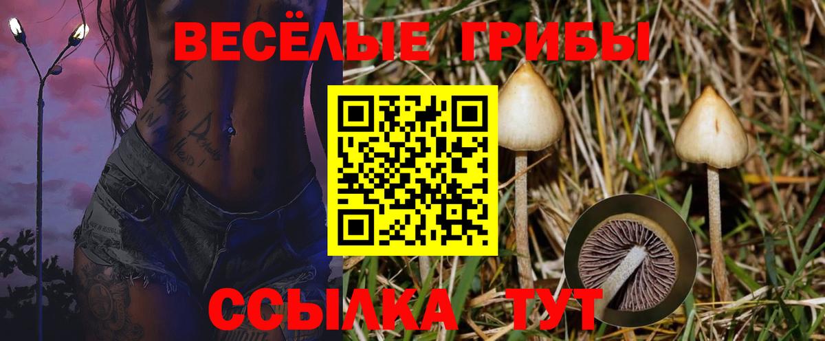 Галлюциногенные грибы MAGIC MUSHROOMS Рузаевка